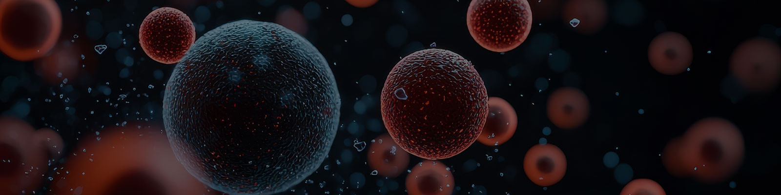 未来医療への展望